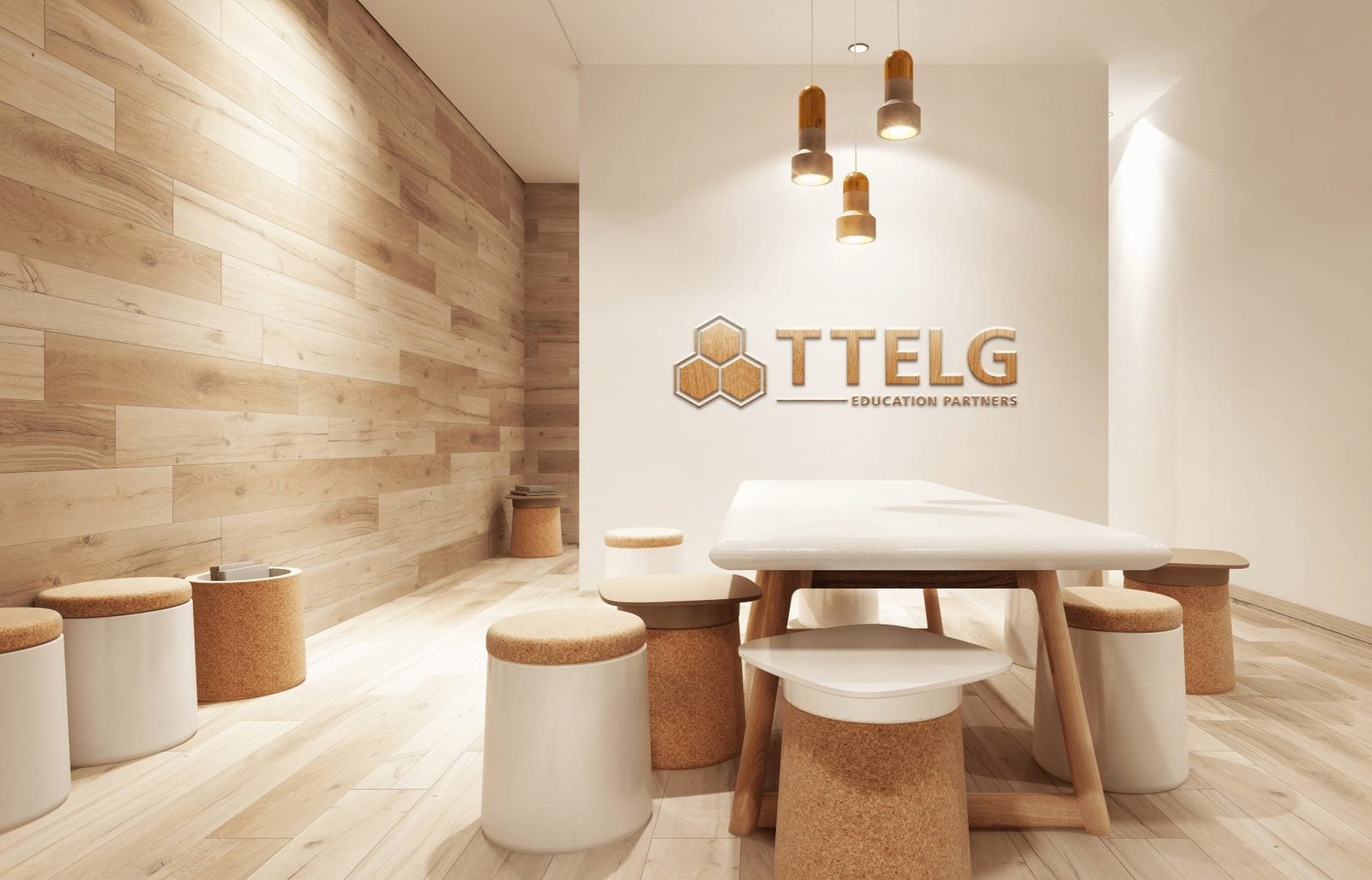 TTELG — project image 11